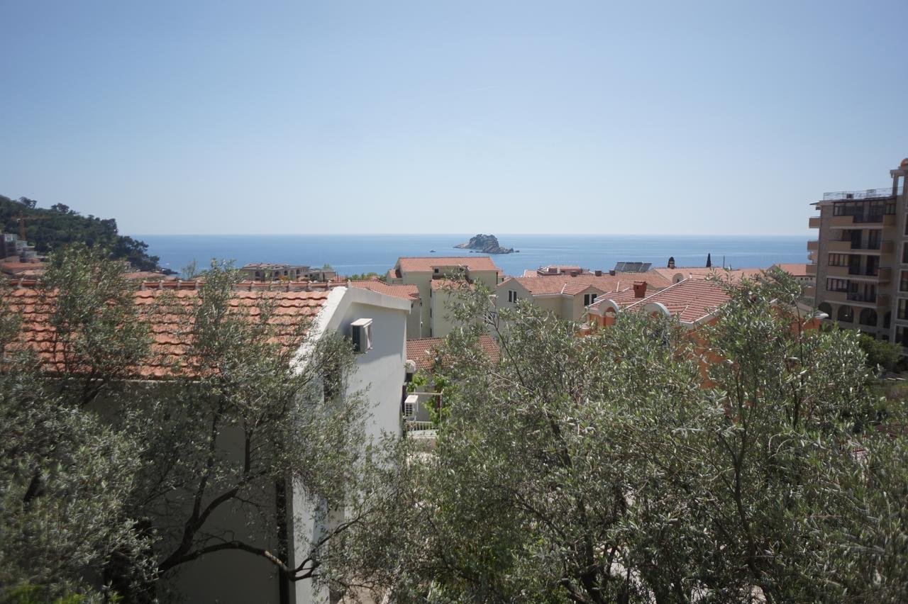Apartments Minja Nerin Petrovac Ngoại thất bức ảnh